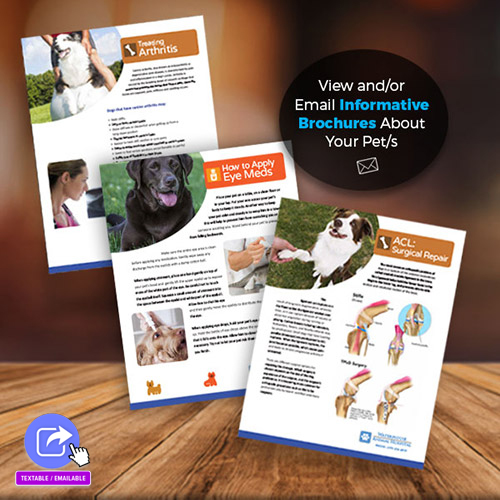 Widget Brochure